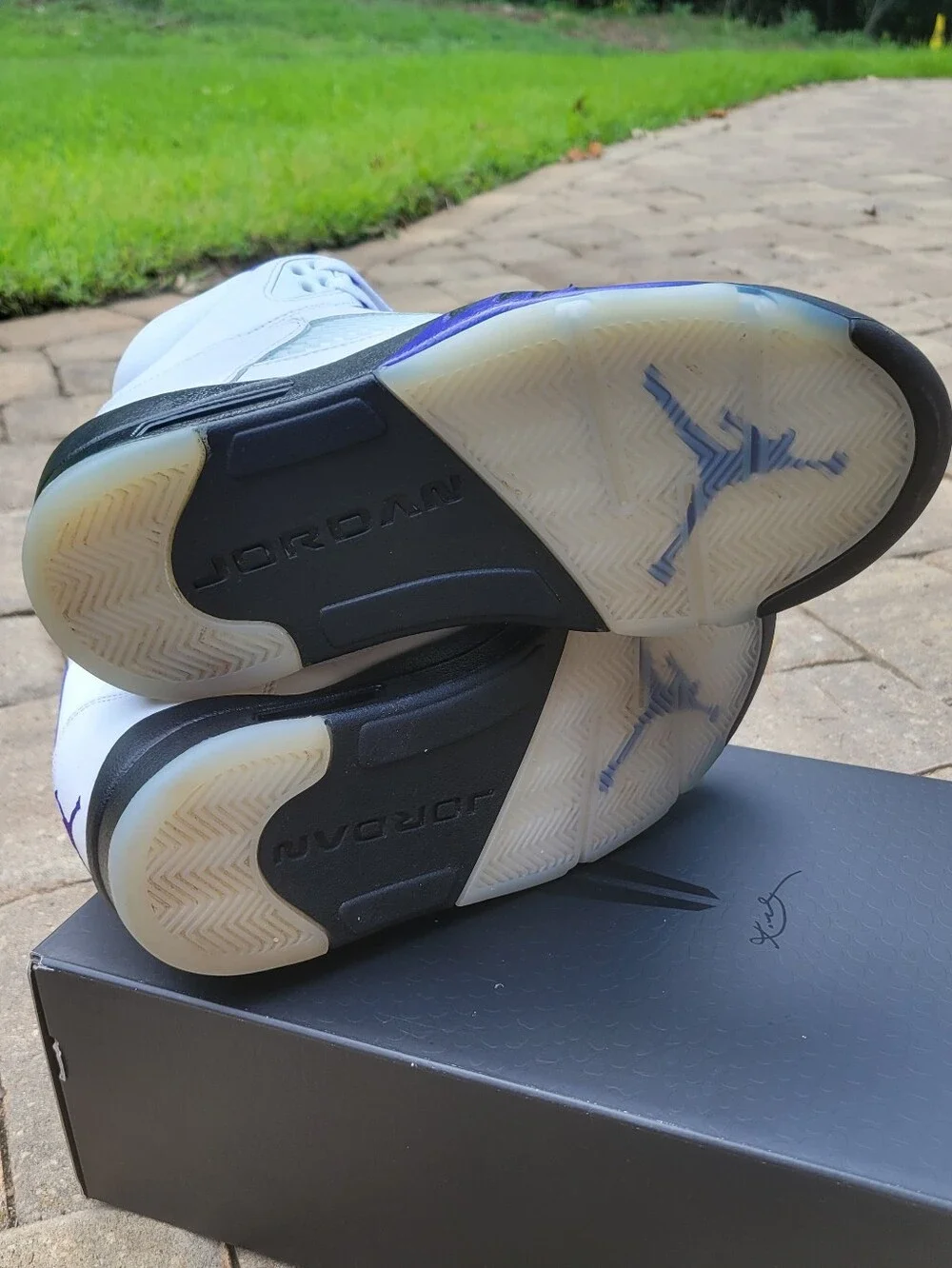 Jordan 5 Retro 'Dark Concord'